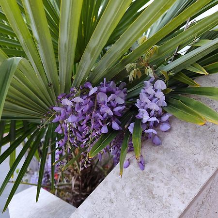 Apartments Poretti For 2,In Center Parking Free In The Yard,6 Min Beach Walk Rovinj Luaran gambar