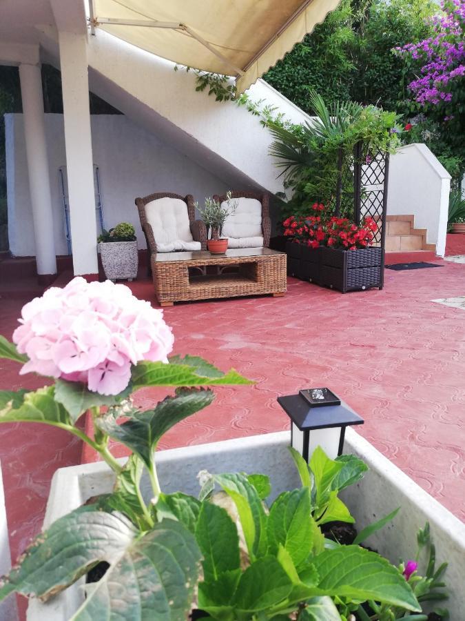 Apartments Poretti For 2,In Center Parking Free In The Yard,6 Min Beach Walk Rovinj Luaran gambar