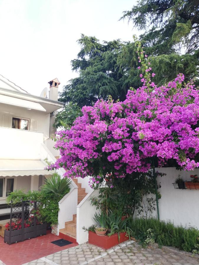 Apartments Poretti For 2,In Center Parking Free In The Yard,6 Min Beach Walk Rovinj Luaran gambar