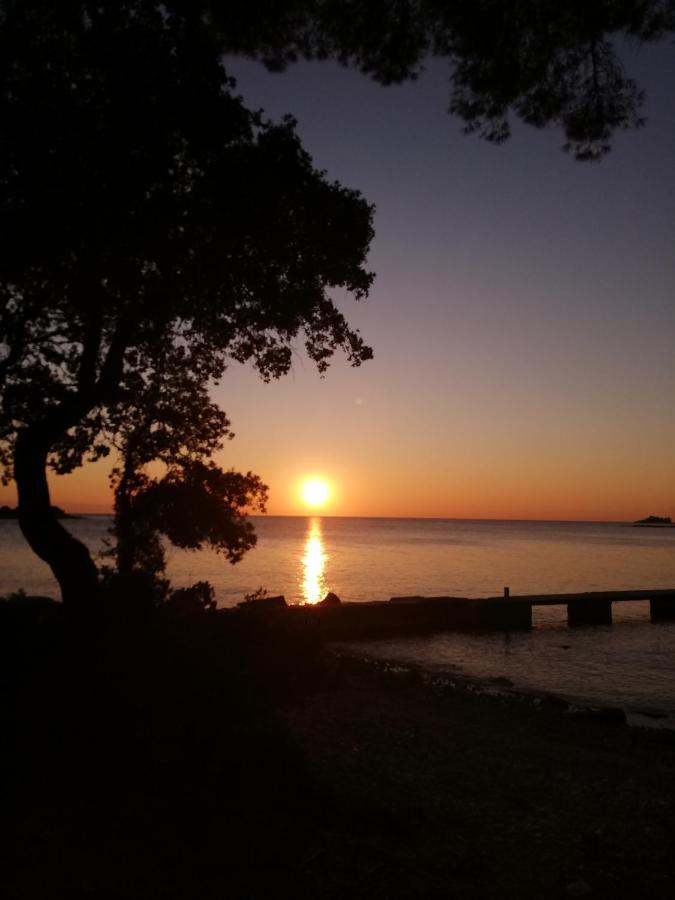 Apartments Poretti For 2,In Center Parking Free In The Yard,6 Min Beach Walk Rovinj Luaran gambar
