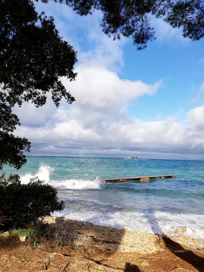 Apartments Poretti For 2,In Center Parking Free In The Yard,6 Min Beach Walk Rovinj Luaran gambar