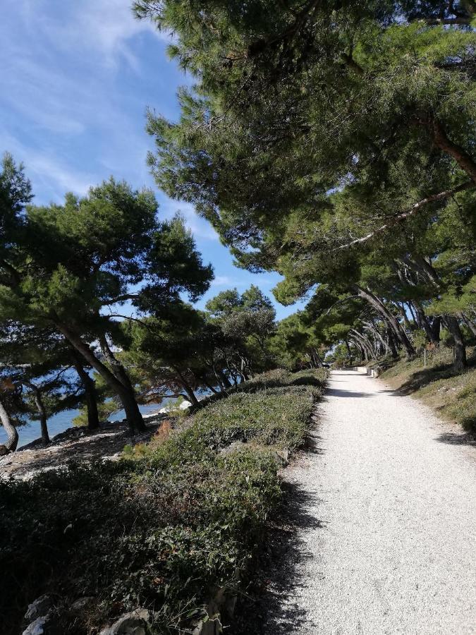 Apartments Poretti For 2,In Center Parking Free In The Yard,6 Min Beach Walk Rovinj Luaran gambar