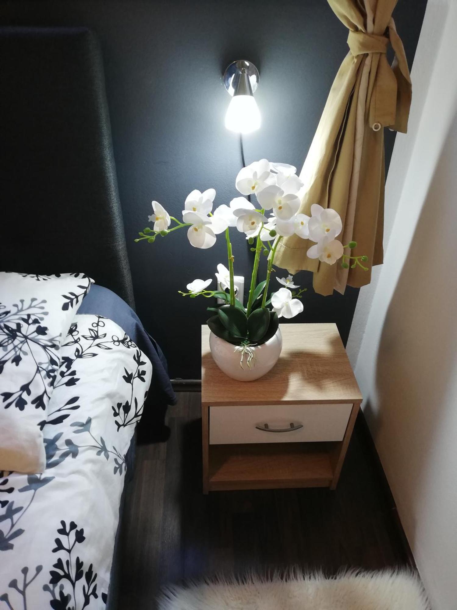 Apartments Poretti For 2,In Center Parking Free In The Yard,6 Min Beach Walk Rovinj Luaran gambar