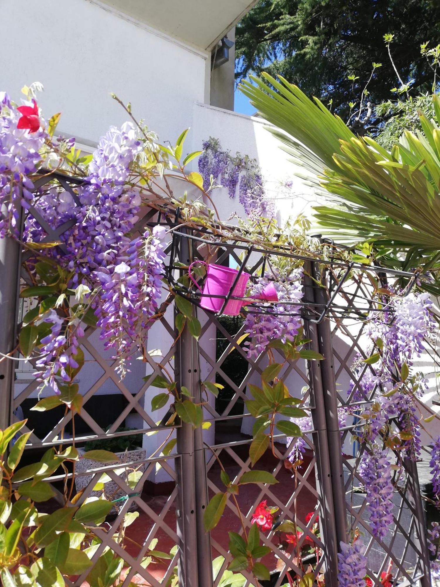 Apartments Poretti For 2,In Center Parking Free In The Yard,6 Min Beach Walk Rovinj Luaran gambar