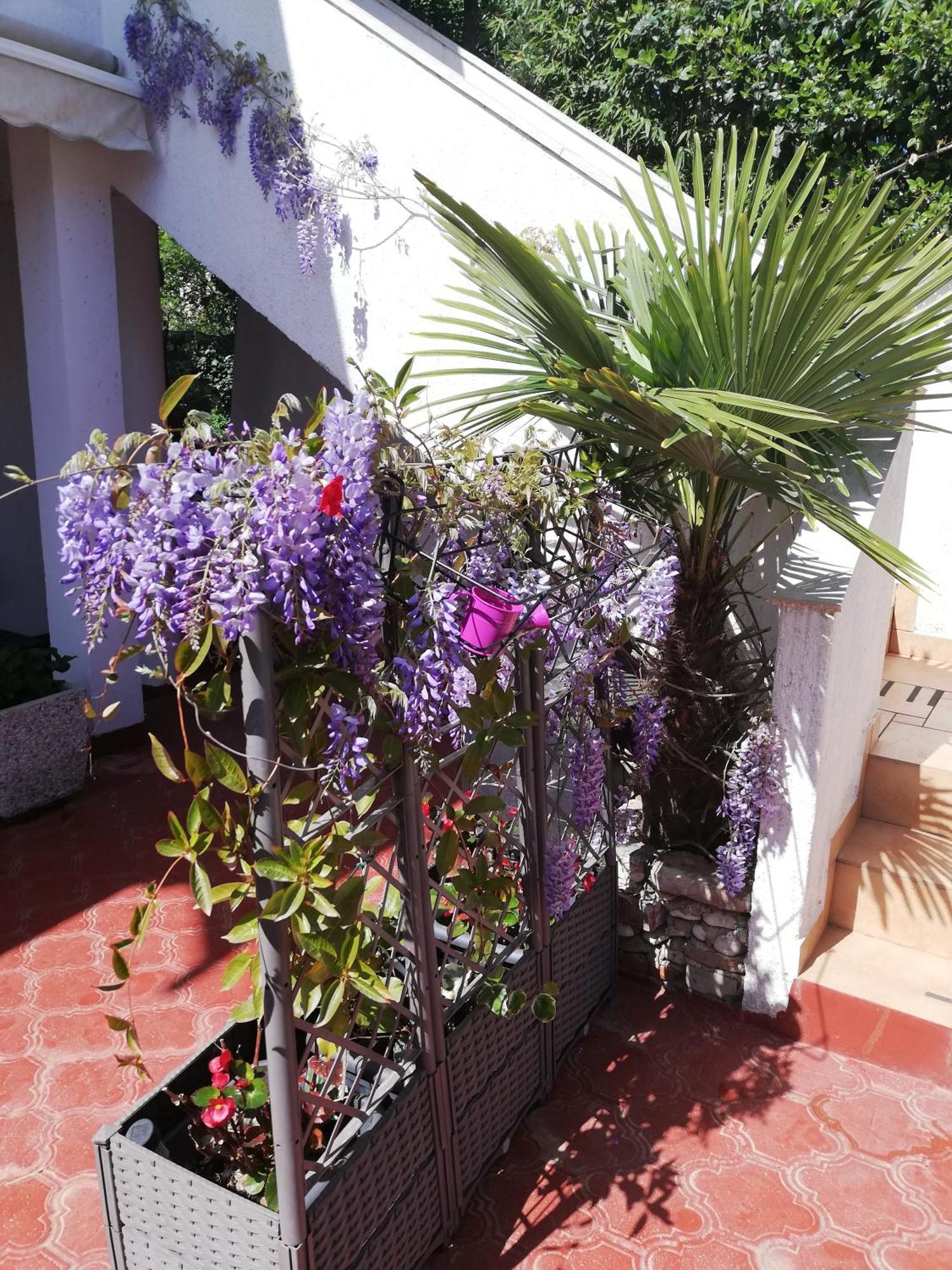 Apartments Poretti For 2,In Center Parking Free In The Yard,6 Min Beach Walk Rovinj Luaran gambar