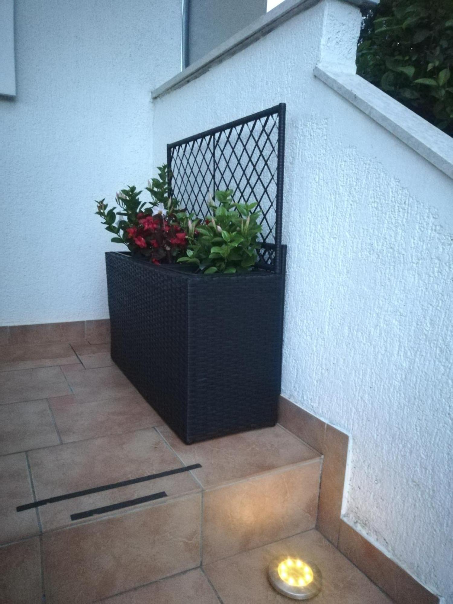Apartments Poretti For 2,In Center Parking Free In The Yard,6 Min Beach Walk Rovinj Luaran gambar