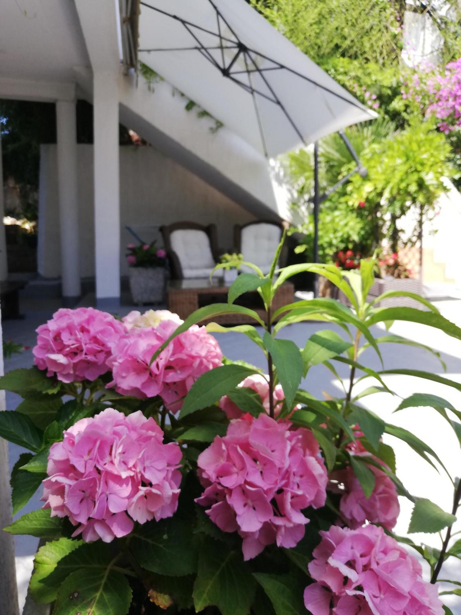Apartments Poretti For 2,In Center Parking Free In The Yard,6 Min Beach Walk Rovinj Luaran gambar